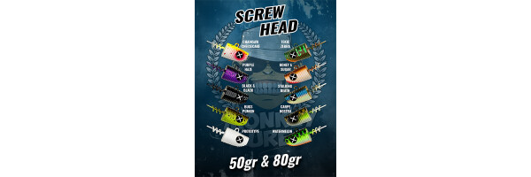 Screw Head