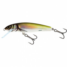 Salmo Minnow Floating 7cm