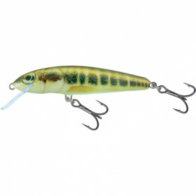 Salmo Minnow Sinking 7cm