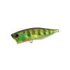 Duo Realis Popper 64 Chart Gill Halo
