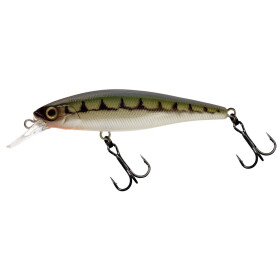 Illex Squad Minnow 65 SP Vairon