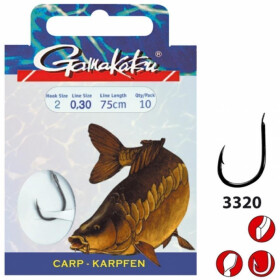 Gamakatsu Karpfen LS-3320 Gr.06 0,26 Schwarz