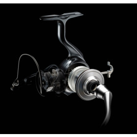 Daiwa 24 Certate Frontbremsrolle