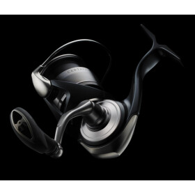 Daiwa 24 Certate Frontbremsrolle
