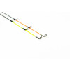 Sportex Coregonum - Renkenrute