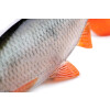 Fox Rage Ultra-Realistic Gummifisch 14cm Roach