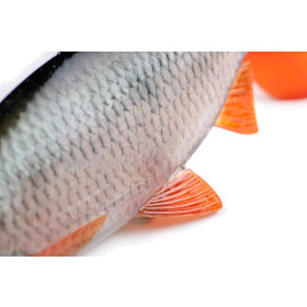 Fox Rage Ultra-Realistic Gummifisch 18cm Roach