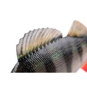 Fox Rage Ultra-Realistic Gummifisch 10cm Perch