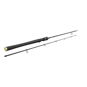 Sportex Curve RS-2 Seacast - Spinnrute