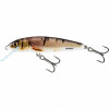 Salmo Minnow Floating 5cm Trout