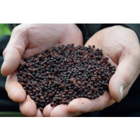 Sonubaits Halibut Pellets 4mm Spicy Sausage 900g