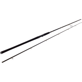 Westin W2 Powercast 248cm XH 20-80g