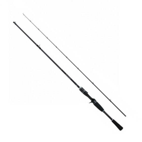 Shimano Sustain AX Spinning 300cm 21-56g H