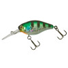 HL Sunfish