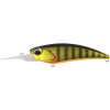 62DR Gold Perch