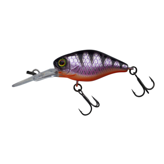 UV Pink Perch