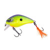 Purple Chartreuse BA