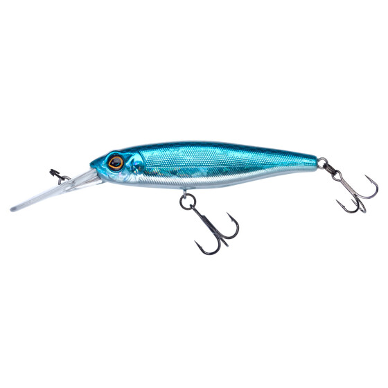 Blue Shad