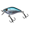 Blue Shad