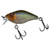 Ghost Minnow