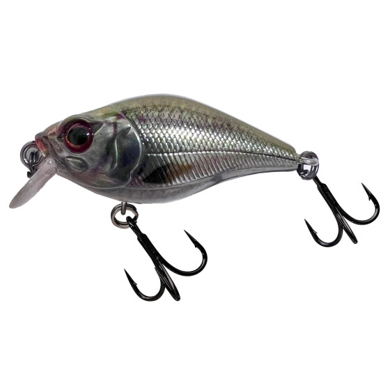 Roach
