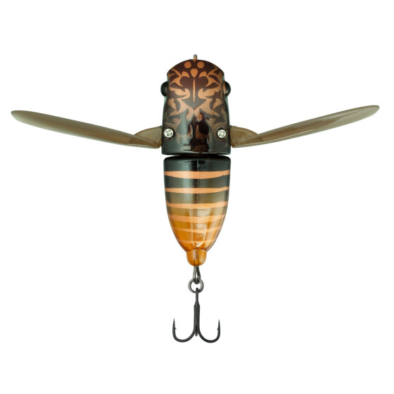 Nojiri Spring Cicada