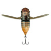 Nojiri Spring Cicada