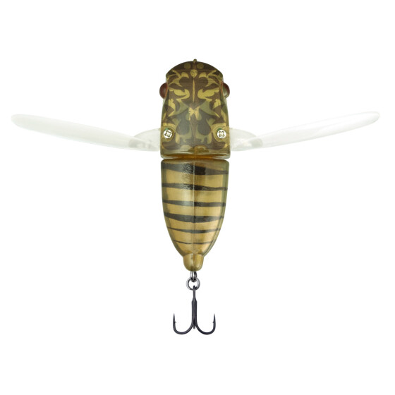 Hibara Spring Cicada