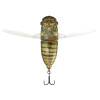 Hibara Spring Cicada
