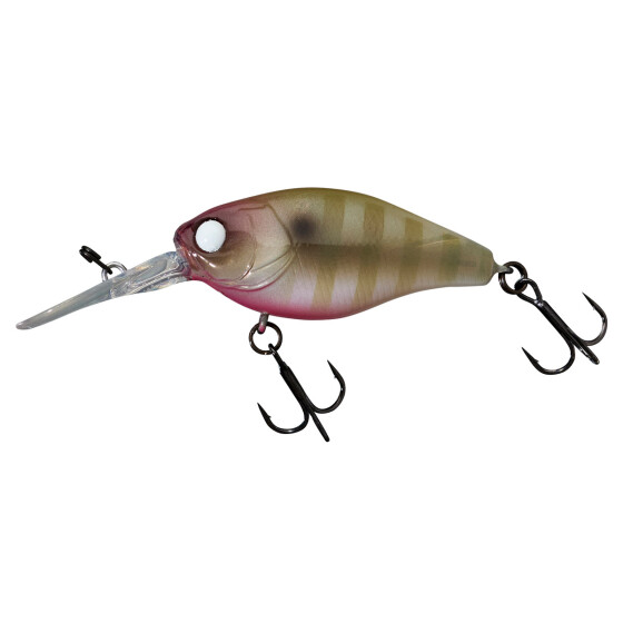 Dying Blue Gill