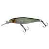 Ghost Minnow